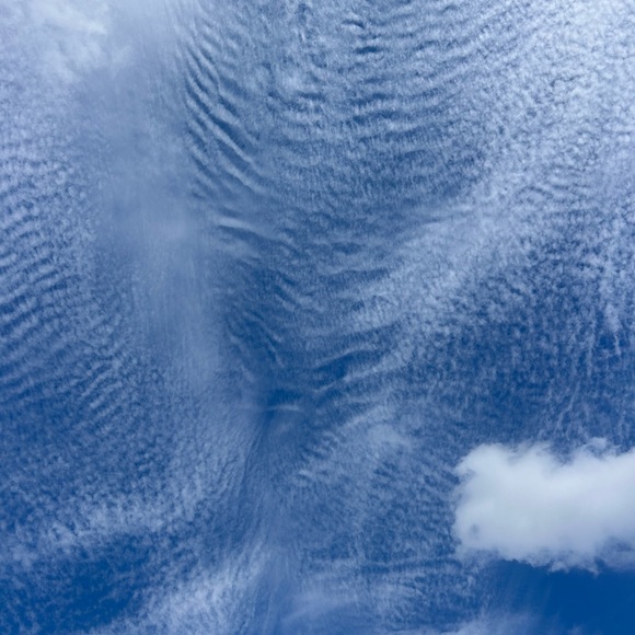 Meet your Posher, Elizabeth Ashley - Picture 2 of 7